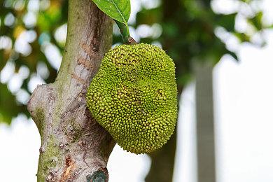 《GTA6》多个新细节泄露 大表哥2断肢系统回归